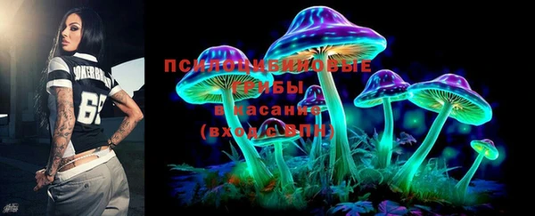 МДПВ Алексин