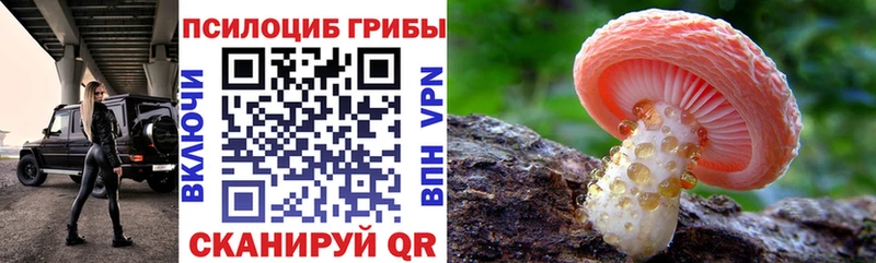 Галлюциногенные грибы Psilocybine cubensis  Дедовск 