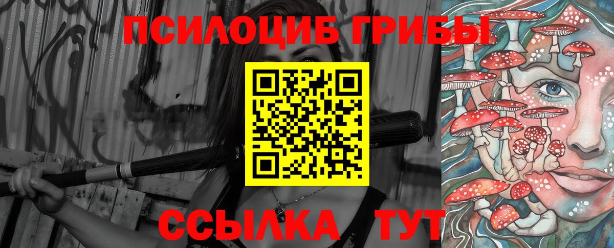 Дедовск  Псилоцибиновые грибы прущие грибы  Вход с VPN 