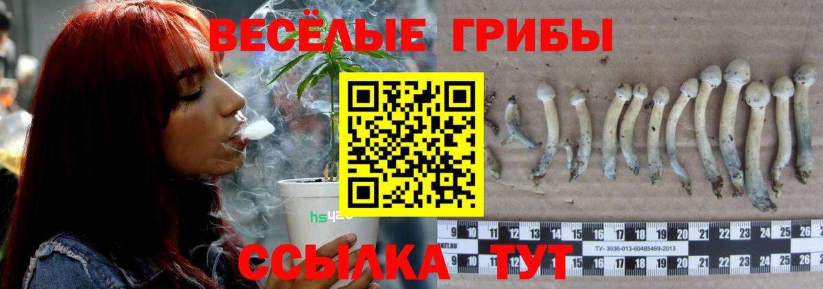 МДМА  Вход с VPN  COCAIN  МЕФ кристаллы  A PVP СОЛЬ   Дедовск  ГАШИШ  Экстази  Меф МЯУ МЯУ  Бошки Шишки  АМФЕТАМИН  